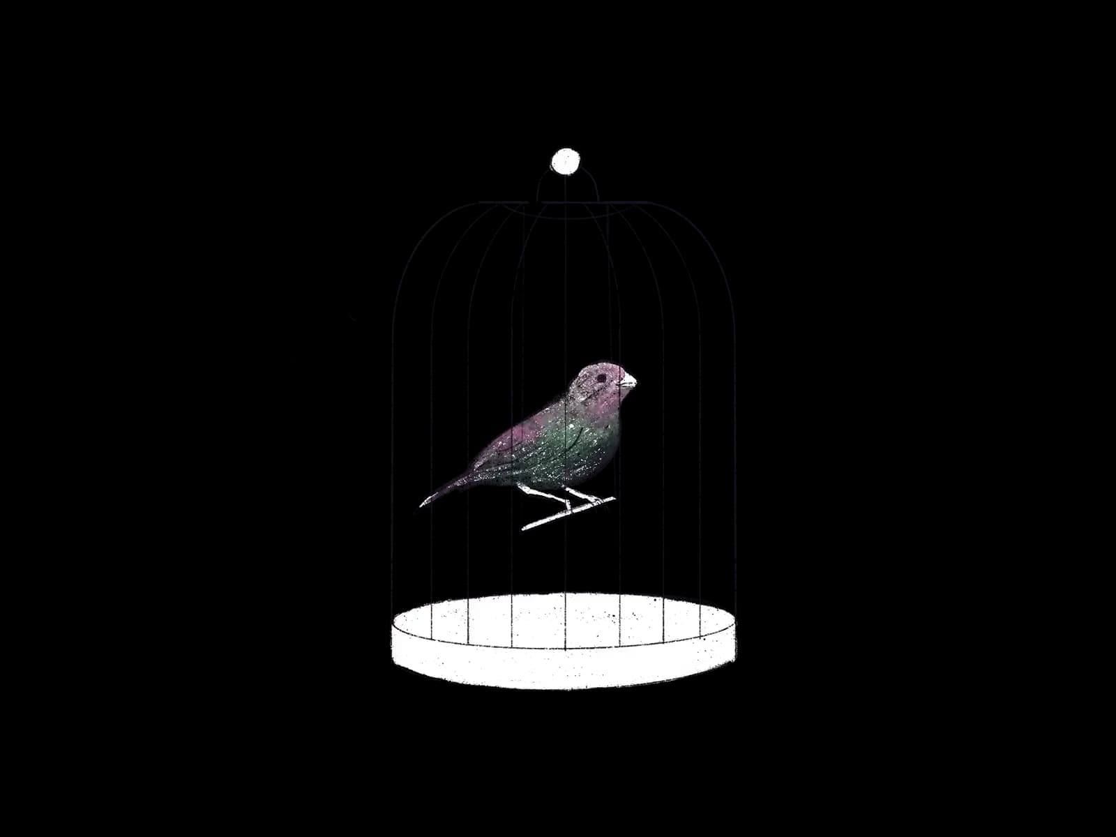 小さな籠の中にいる鳥