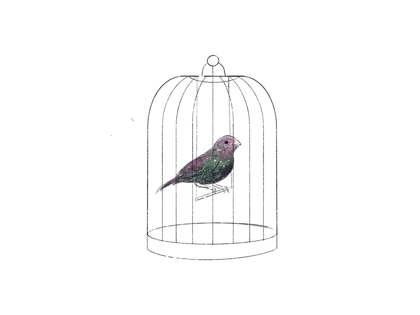 A sad bird sits inside of a small cage