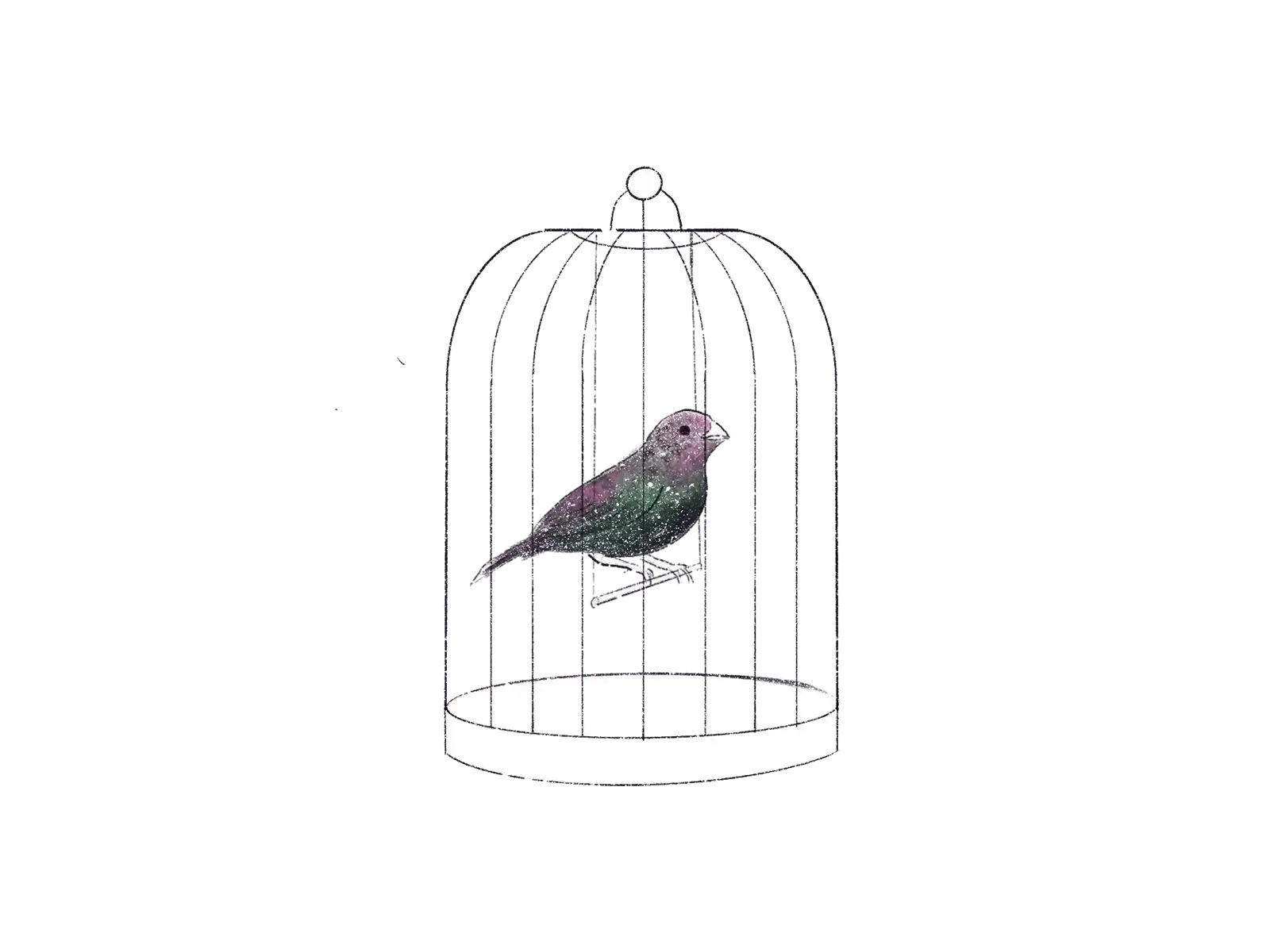 A sad bird sits inside of a small cage